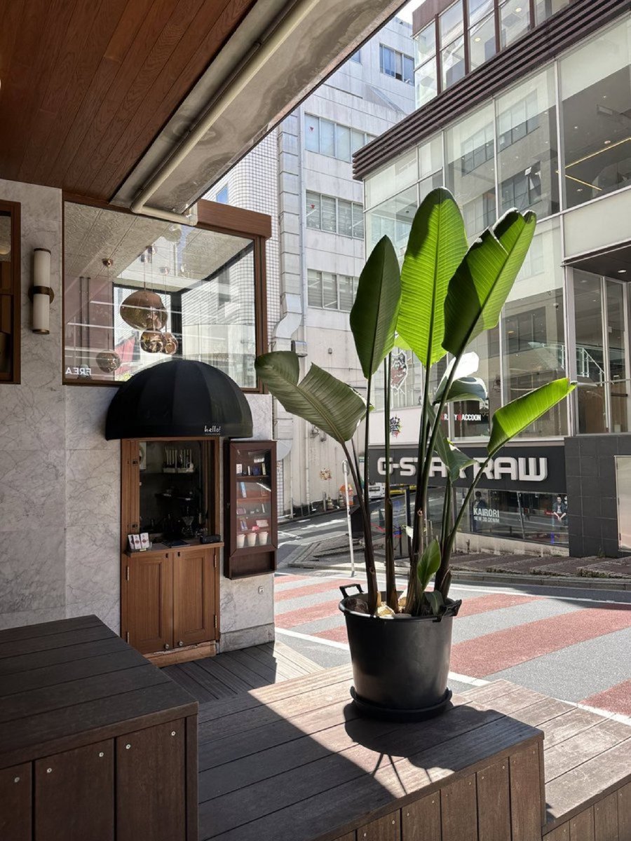 yanagi_cbd's tweet photo. CBD SHOP YANAGI オープン🪴
本日は20時半まで営業しております。

ご来店お待ちしております。 https://t.co/7U45uop1fr