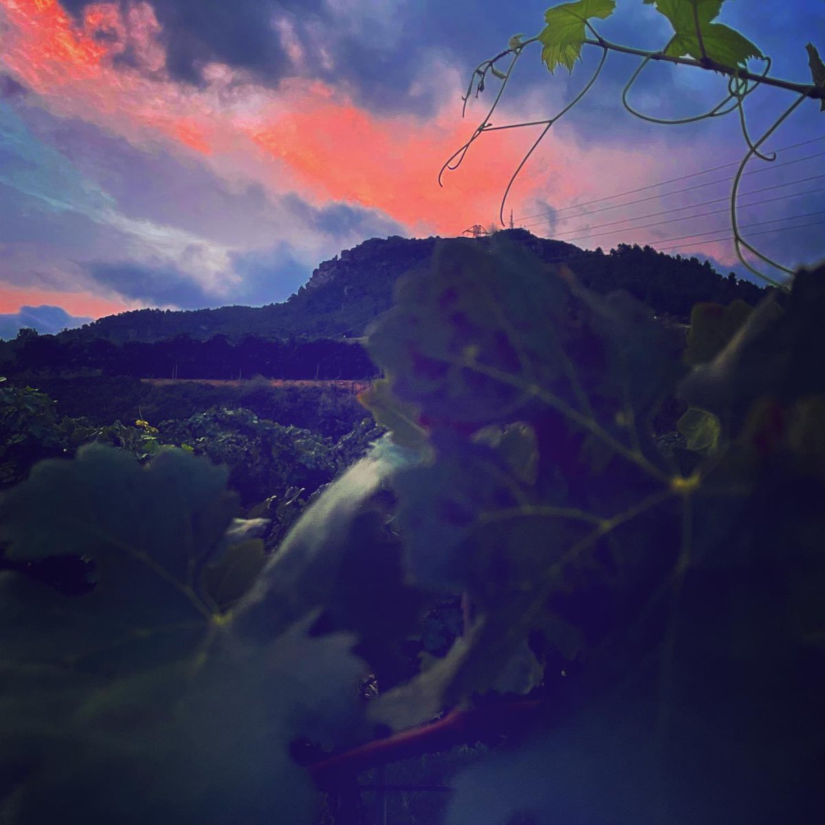 PasconaMontsant's tweet photo. Molt bon dia familia! Vinga amunt qye ja es villuns! Arriba el dia de que tot torna a la normalitat i deixem ja l’estiu enrere!! La canalla a l’escola, ja era hora!!
.
@domontsant
.
#bondia #villuns #cellerpascona #domontsant #setembre #normalitat #inici #cursescolar https://t.co/S2DoHLXNi9