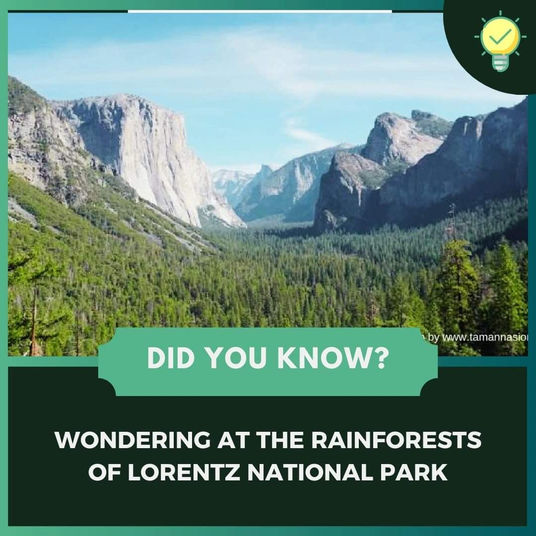 BBTFIndonesia's tweet photo. Lorentz National Park stands out as one of the most ecologically diverse areas in the world. The park's unique geography allows it to host a multitude of species, many of which are endemic to the region. Dense rainforests, pristine rivers, and towering mountains... https://t.co/iUVzisuHFe