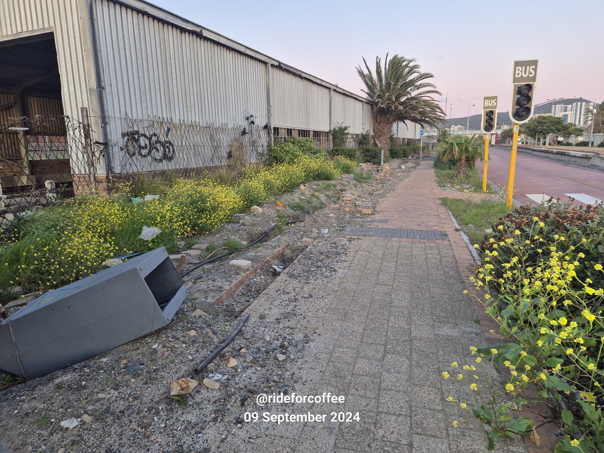 Johan Marais 🇿🇦 tweet media