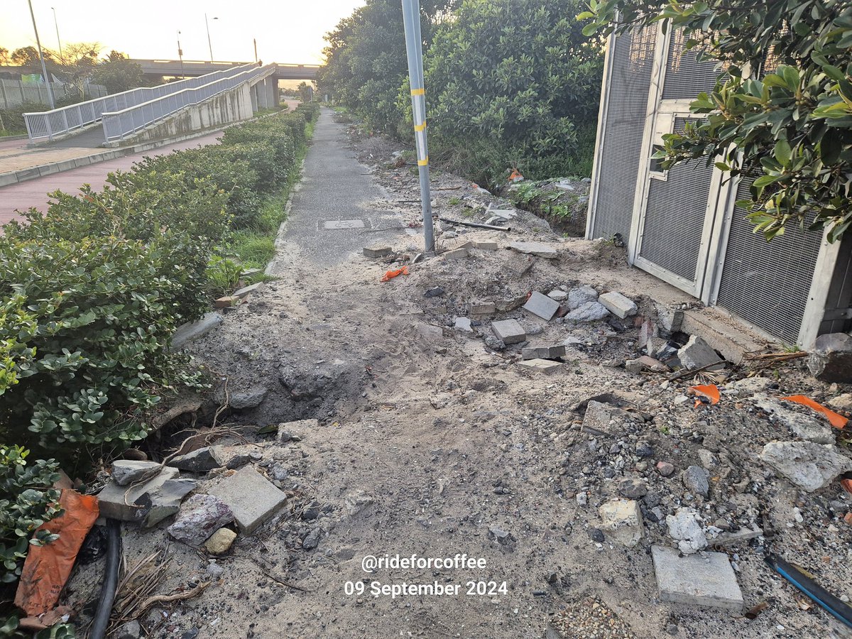 Johan Marais 🇿🇦 tweet media