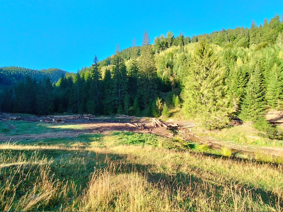 NikolasPhot's tweet photo. Morning view https://t.co/0U2yy2GR8L