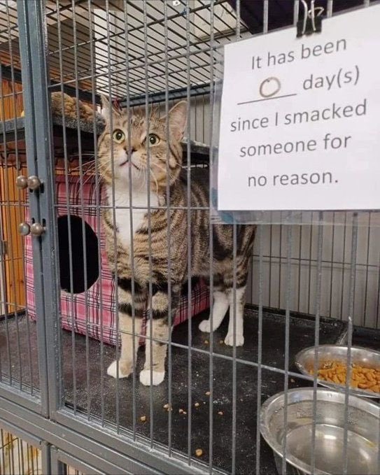 *considers getting a sign for Mr. Buzzy too*
-J

**
“I said I was sorry!”

“No you didn’t.”

“Huh. Guess I must have dreamed it then…”
**