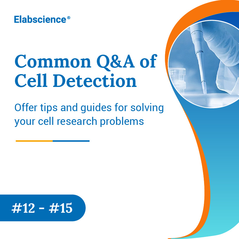 Elabscience_bio's tweet image. Common Q&amp;amp;A of Cell Detection
Offer tips and guides for solving your cell research problems
#12 - #15

Check products here 🔗: elabscience.com/Products-cell_…

#CellDetection #CellApoptosis #CellResearch #AssayGuide #Elabscience