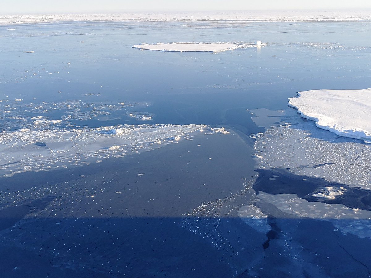 Dr Céline Heuzé tweet media