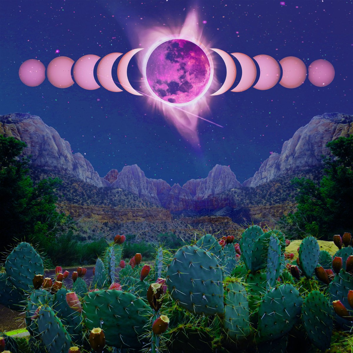 hasdirto tweet media