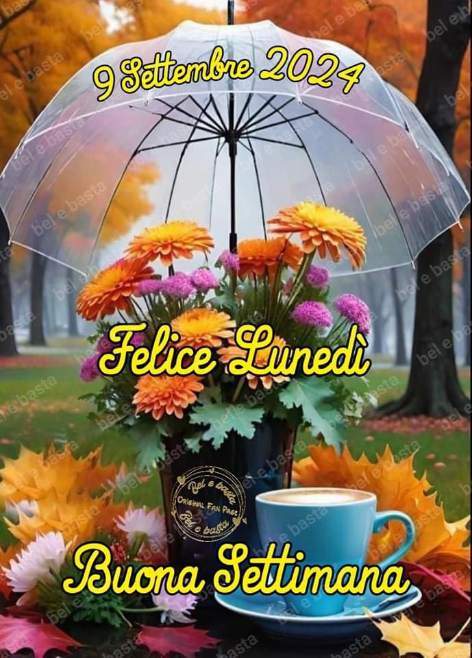 RITABIANCHi56 tweet media