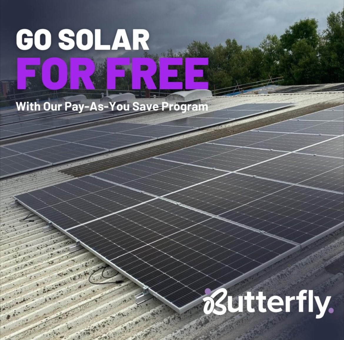 Butterfly believe businesses shouldn’t have to endure rising electricity costs. That’s why Butterfly are excited to introduce a Pay-As-You-Save Solar Installation Program to meet your energy needs and save over 90%. 
Connect with the Butterfly team. butterfly.eco #solar