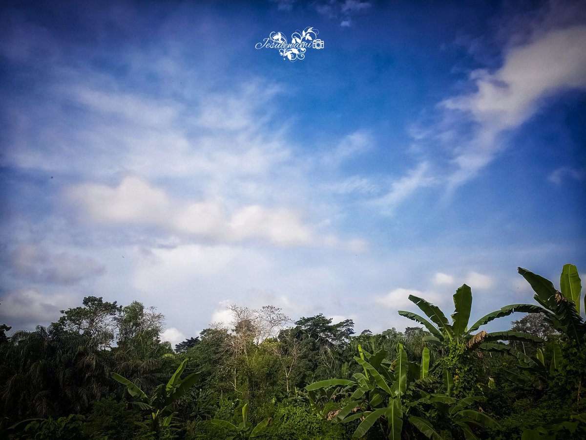 jesulewami15's tweet photo. Day 27 of 30days Nature photography challenge 
#30daynaturephotographywith @TECNOMobileNG 

Nature photograph of the day 
Shot on: Techno camon 18i
Editing tools: Lightroom,Snapseed, pixellab 

#Jesulewamiphotography
#NaturePhotography 
#creativephotography 
#IamChristambassador https://t.co/3awjLvbDLW