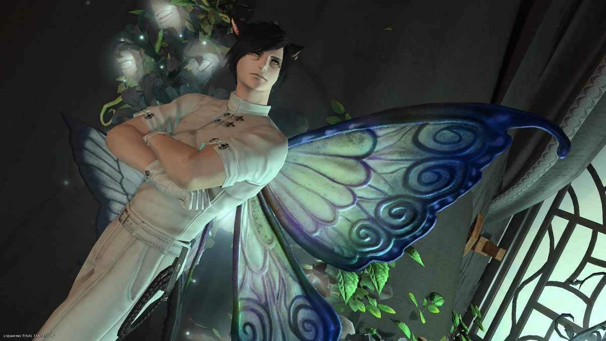 アクアマリンの風に吹かれて