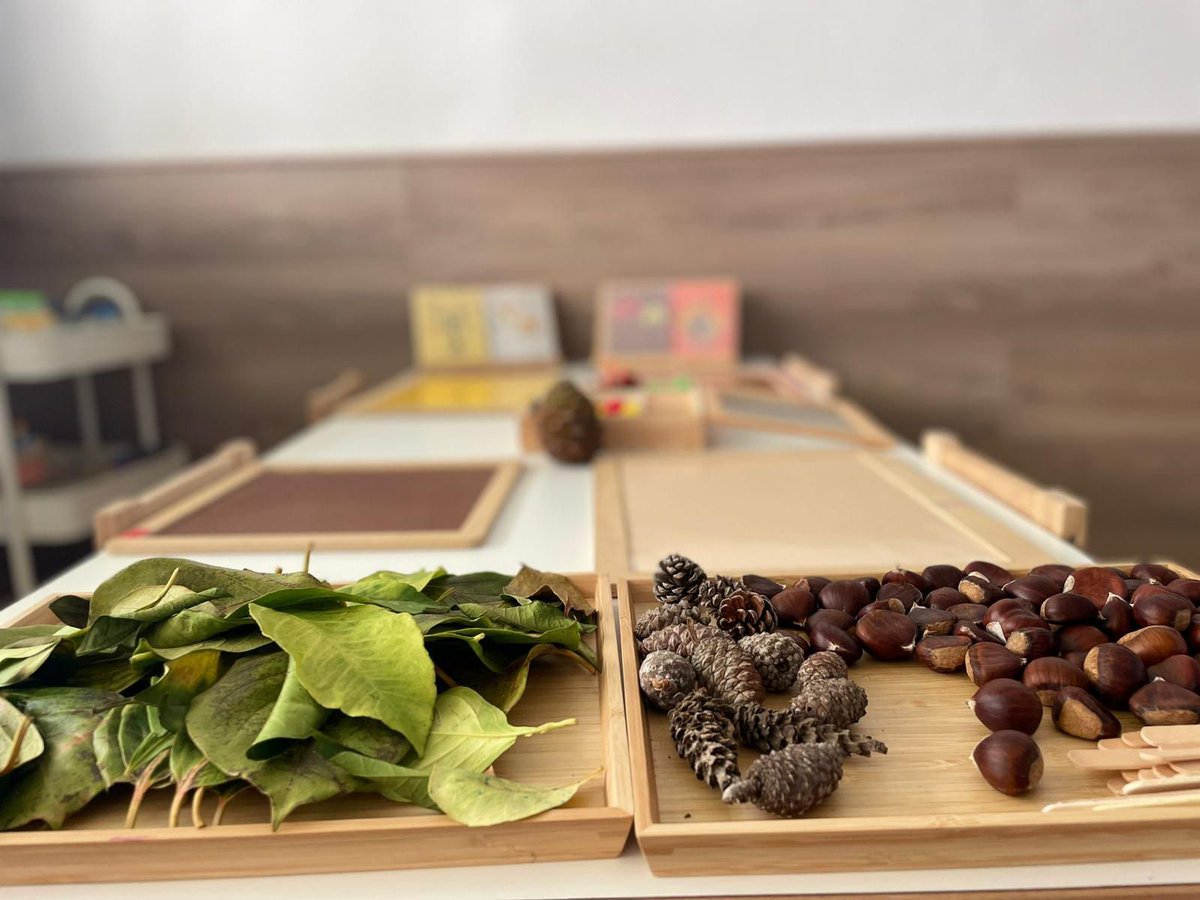 Avui ens tornem a trobar!

Comencem un nou curs ple de reptes, oportunitats i aprenentatges i, tot i que el primer dia només és el començament, segur que cada esforç acabarà sent una victòria.

Bon curs 2024-2025!