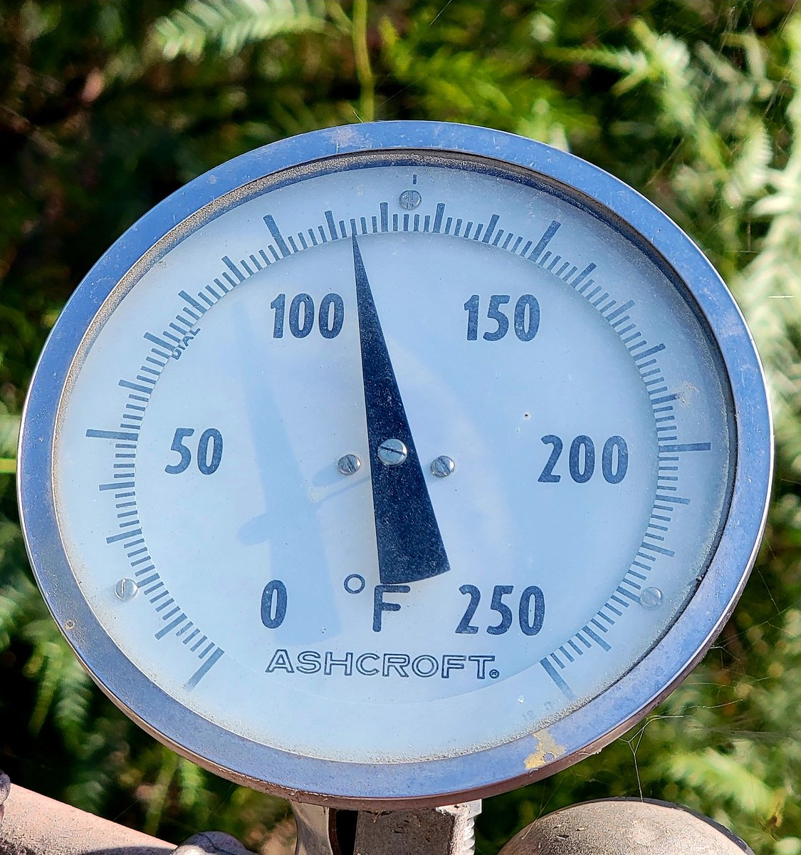 RichardNovakRik's tweet photo. 🌞 My thermometer on the deck is all ready for global warming! 🏊🏻‍♂️💦
☀️🌡😎 114° today! 💛 https://t.co/PXV5d0s9NS