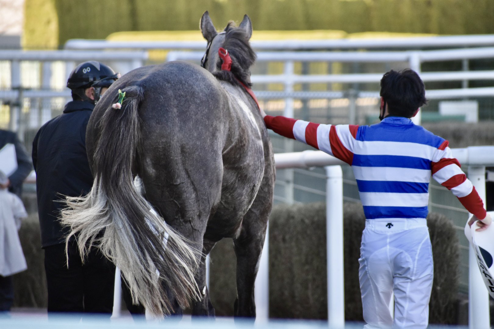 mari様 Amazon.co.jp: Marine Tech Tools Outboard Trim Tilt Pin