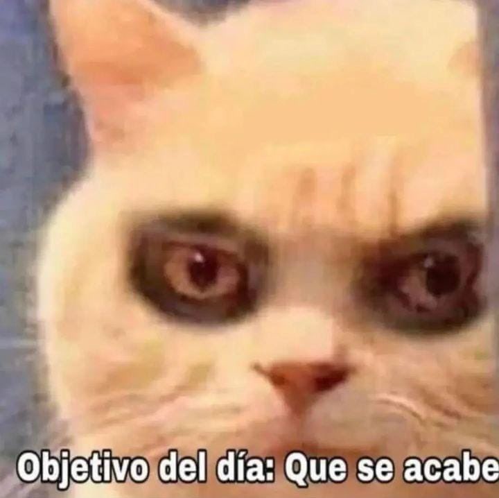 GatitoDepresion's tweet photo. https://t.co/bdCKMxOgMw