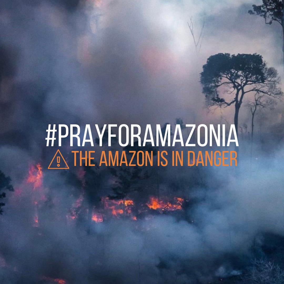 Alemanya65's tweet photo. Der #Amazonas brennt seit Wochen und niemand macht was. Denkt doch mal an die Tiere, das Wasser und die verlorene, für das Wektklima verdammt wichtige, Vegetation sind nur Bruchteile der Tragödie ! Wacht auf ! #PrayforAmazonas #amazonasenllamas @Kachelmann https://t.co/Ylx2TwhFAN