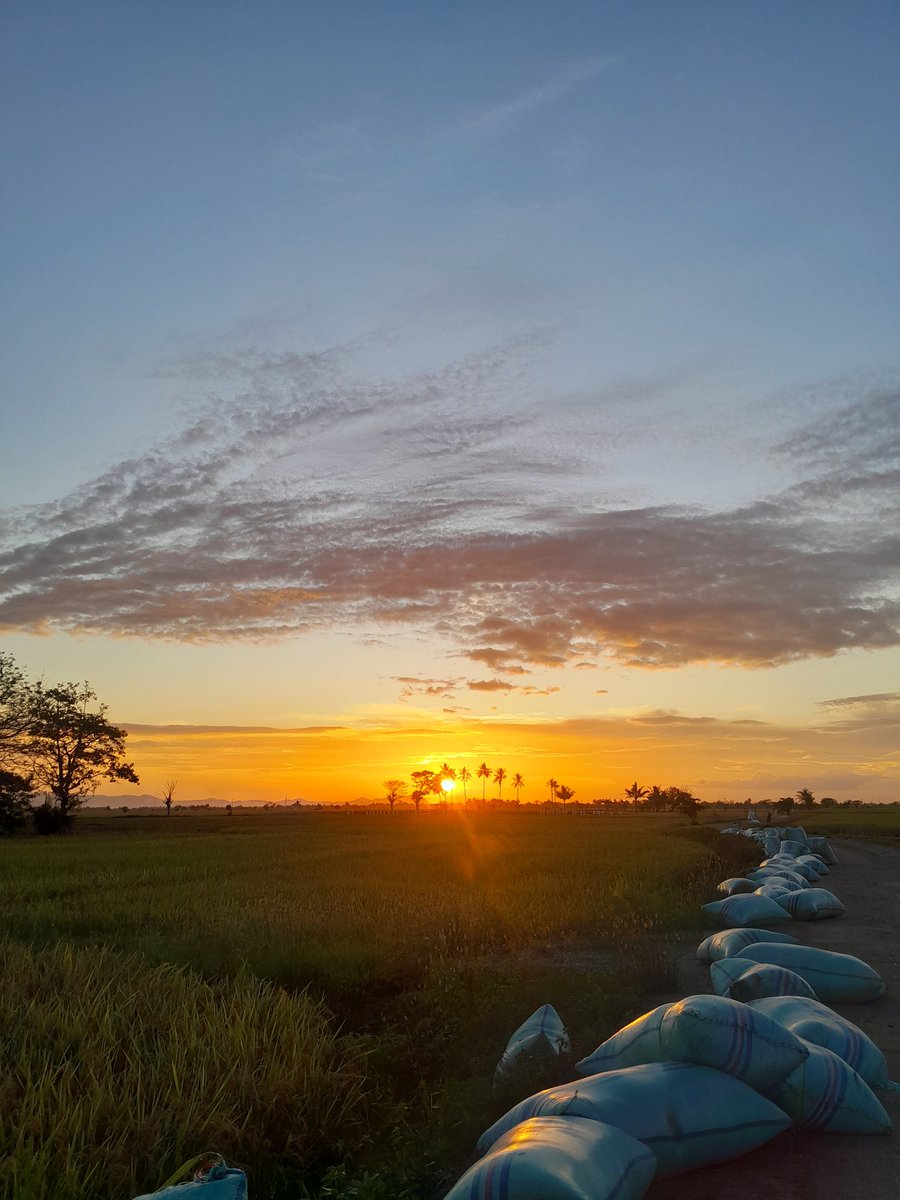 sumakeke's tweet image. Lagu dari Padi "Begitu Indah "
