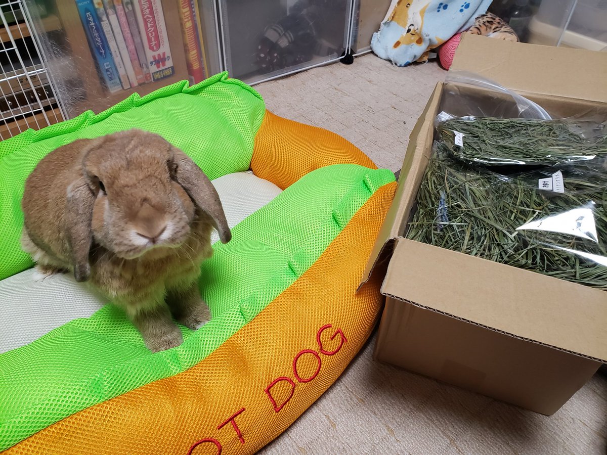 うさ福食堂さん(<a href="/usafukusyokudou/">うさ福食堂*´ㅅ`)</a>)からおやつが届いたわよ~🐰