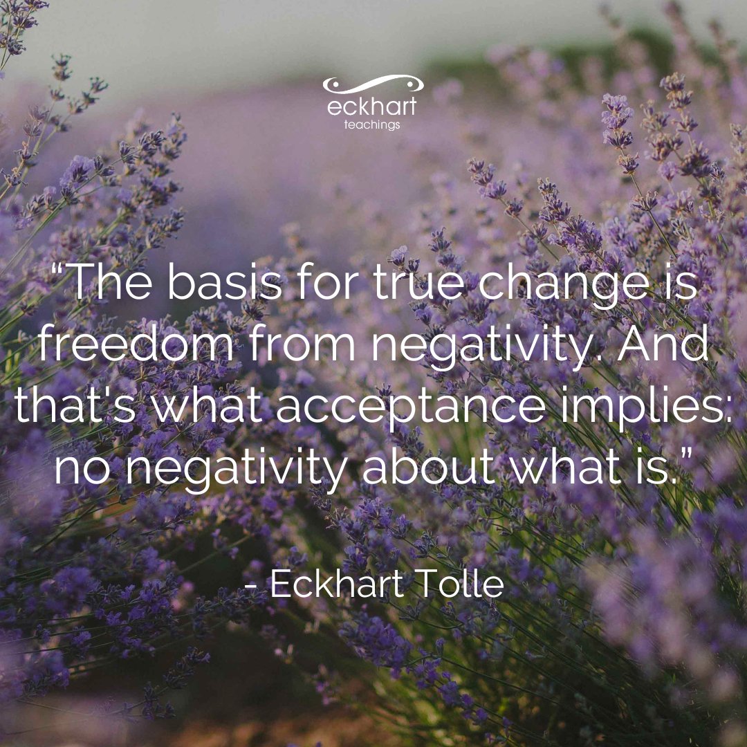 “The basis for true change is freedom from negativity. And that's what acceptance implies: no negativity about what is.” - Eckhart Tolle