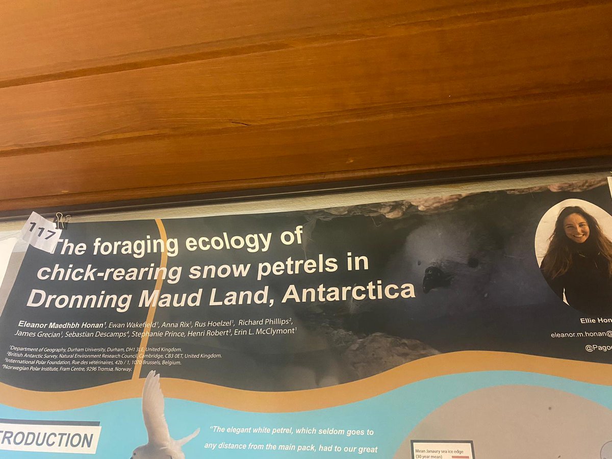 Pagodroma's tweet image. My first in-person conference of my PhD was the last @TheSeabirdGroup conference in Cork two years ago, so it felt great to be able to come to Coimbra with a greater insight into my data (and to recognise faces!) @GeogDurham #ANTSIE