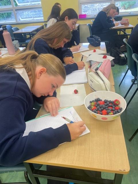 Having studied the poem 'Blackberry-Picking' by Seamus Heaney, 3rd Yr students modelled their work on his style, by writing creatively about strawberries and blueberries.  And yes, they did get the chance to eat them at the end of class!!