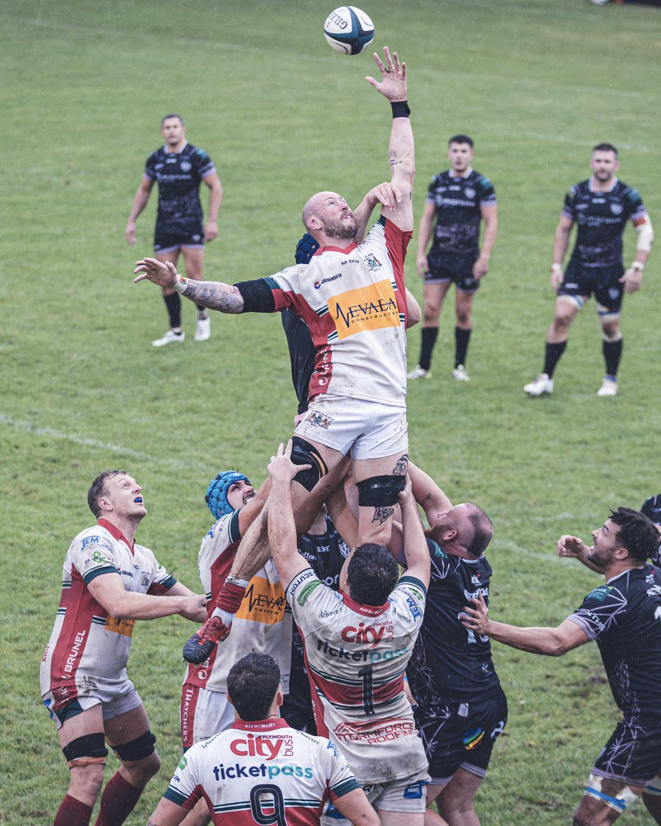 Ryan Lee tweet media