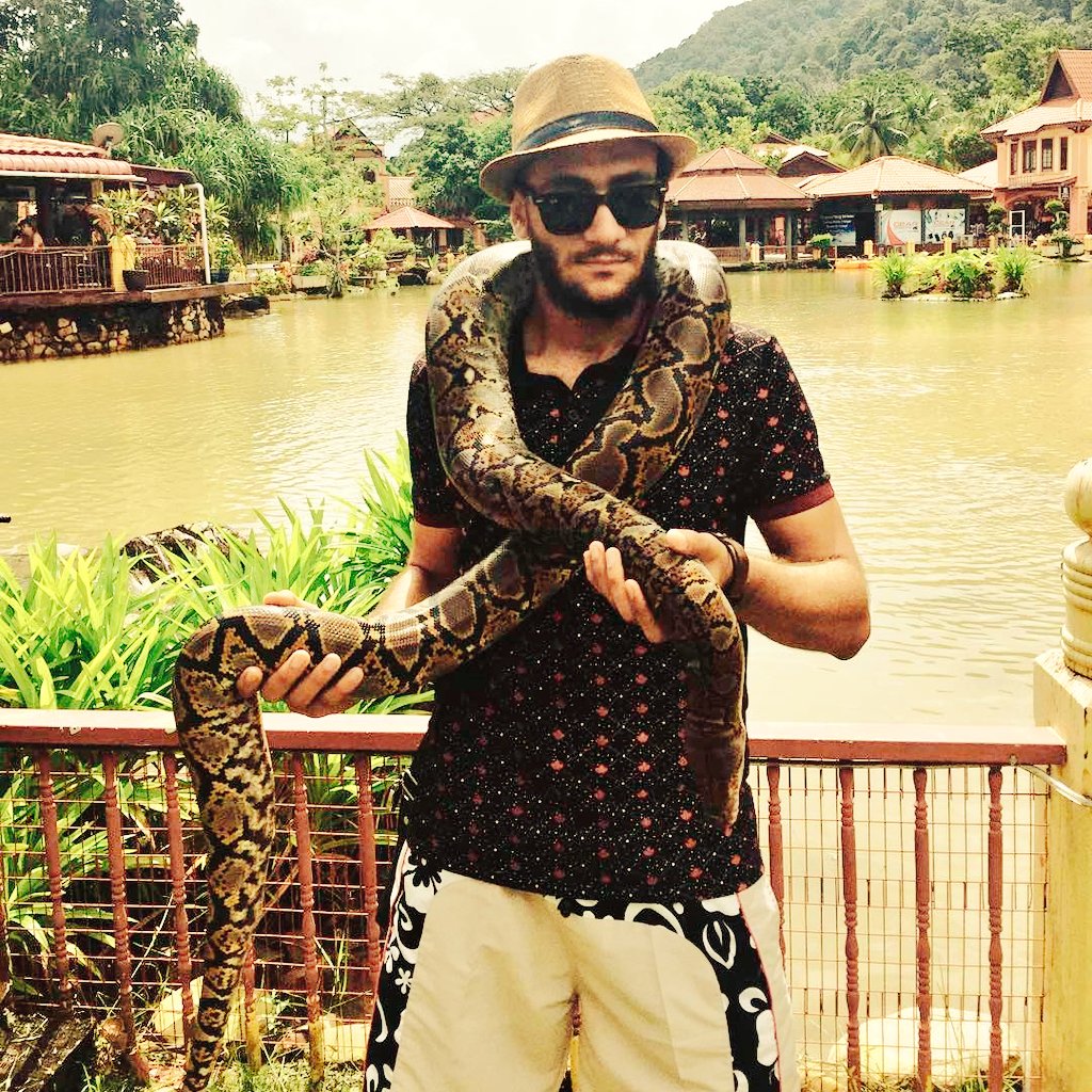 🐍🐍🐍🐍🐍