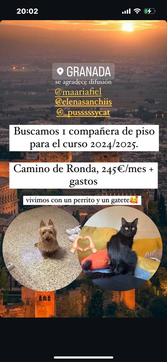 buscamos una cuarta compi de piso xfa xfa xfa🙏🏻💖 <a href="/ligoteo_UGR/">Ligoteo UGR ❤️ #fan</a> <a href="/Cotilleos_UGR_/">Cotilleos UGR ❤️</a>