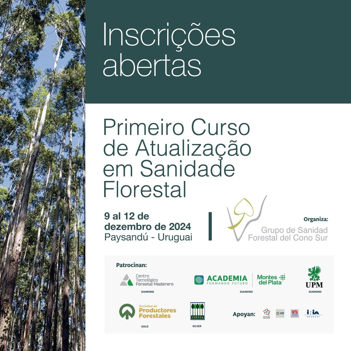A inscrição para o Curso de Atualização em Sanidade Florestal já está aberta! 🎓🌿 

Vagas limitadas, não fique de fora. Você tem até 15 de outubro para garantir seu lugar. ⏳🌳

Inscreva-se aqui 👉 curso.sanidadforestalconosur.org/inscripcion/

Mais novidades: sanidadforestalconosur.org