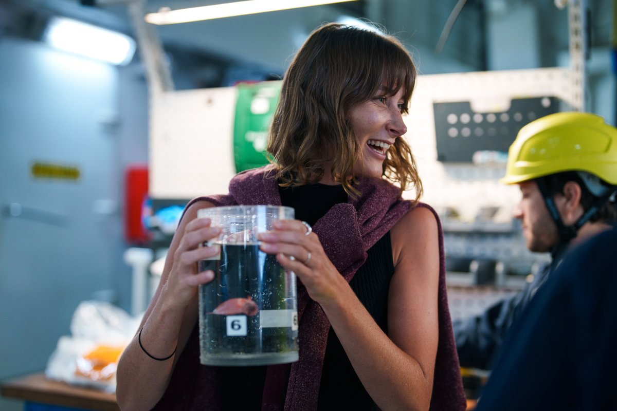 UWA (@uwanews) on Twitter photo 🌊Congratulations to <a href="/PaigeMaroni/">Paige Maroni</a> who has received funding to research the biodiversity of WA’s deep-sea marine parks! 🦐 <a href="/deepseauwa/">Deep Sea Research Centre</a> <a href="/uwaoceans/">UWA Oceans Institute</a> <a href="/BiolSci_UWA/">School of Biological Sciences, UWA</a> <a href="/UWAresearch/">UWA Research</a> <a href="/DCCEEW/">DCCEEW</a>
Find out more: 🔽
uwa.au/jm35gw 🌊Congratulations to <a href="/PaigeMaroni/">Paige Maroni</a> who has received funding to research the biodiversity of WA’s deep-sea marine parks! 🦐 <a href="/deepseauwa/">Deep Sea Research Centre</a> <a href="/uwaoceans/">UWA Oceans Institute</a> <a href="/BiolSci_UWA/">School of Biological Sciences, UWA</a> <a href="/UWAresearch/">UWA Research</a> <a href="/DCCEEW/">DCCEEW</a>
Find out more: 🔽
uwa.au/jm35gw