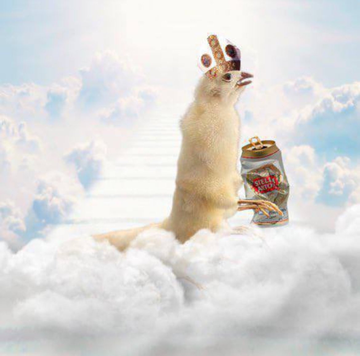 actionman tweet media