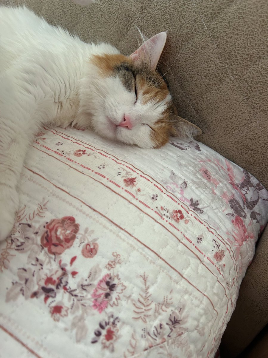 Aynen kanka sendromsuz pazartesi 🙃

#pazartesi #okul #okuladönüş