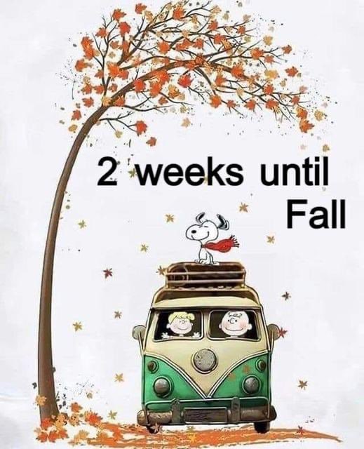 Rita K. Foil (@ritafoil) on Twitter photo 