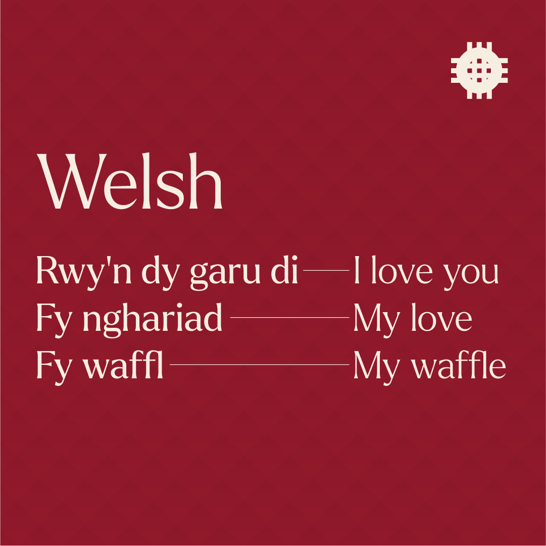 TregroesW's tweet photo. How to say I love you, the Tregroes way 🧡

#luxurytreat #caramelwaffles #tregroeswaffles #tregroes #stroopwafel #stroopwaffles #welshproduce #indulgenttreats #madeintheuk https://t.co/VBvuxsq2PJ