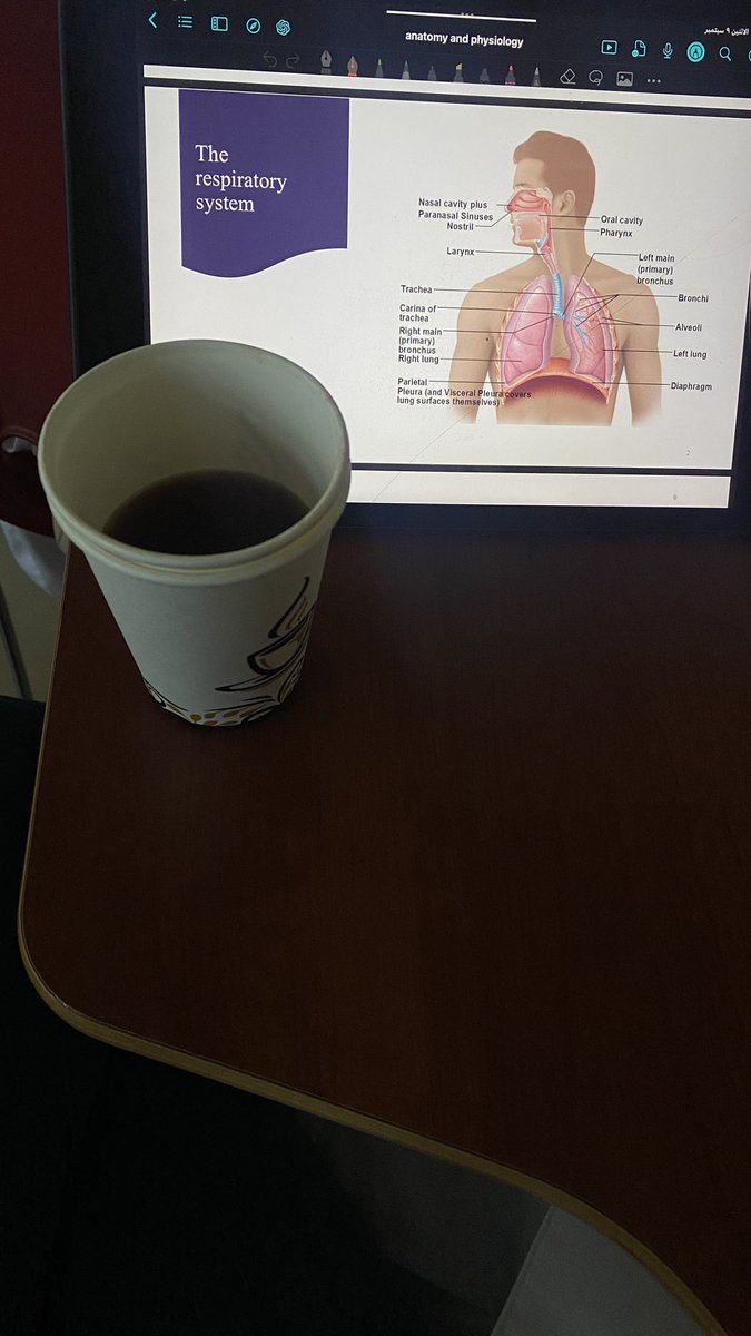 Respiratory system 😵‍💫👎🏻👎🏻