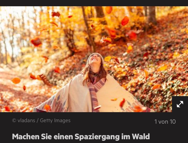 Anton Rainer tweet media