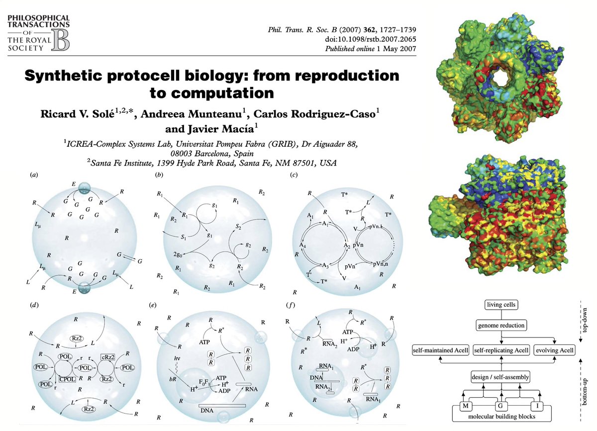 Ricard Solé (@ricard_sole) on Twitter photo Is it possible to create an artificial cell from scratch? What kind of design principles and constraints will be involved? How can physics and maths guide research? Check our <a href="/RSocPublishing/">Royal Society Publishing</a> paper <a href="/AndreeaMuntean2/">Andreea Munteanu</a> from chemistry to synthetic biology. royalsocietypublishing.org/doi/10.1098/rs… Is it possible to create an artificial cell from scratch? What kind of design principles and constraints will be involved? How can physics and maths guide research? Check our <a href="/RSocPublishing/">Royal Society Publishing</a> paper <a href="/AndreeaMuntean2/">Andreea Munteanu</a> from chemistry to synthetic biology. royalsocietypublishing.org/doi/10.1098/rs…