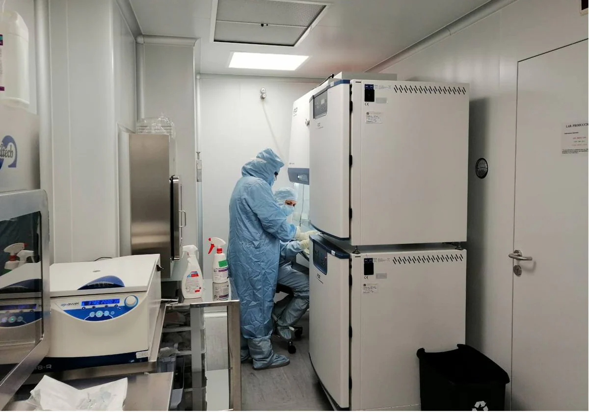 Instituto Murciano de Investigación Biosanitaria (@imib_rmurcia) on Twitter photo 🔬¡El IMIB y la Arrixaca dan el salto a la terapia celular! El hospital producirá en sus propias instalaciones células CAR-T para abordar cánceres hematológicos.
Orgullosos de ser parte de este proyecto. #LaInvestigaciónEstáEnTi
Noticia en <a href="/laverdad_es/">laverdad_es</a>⬇️
laverdad.es/murcia/arrixac… 🔬¡El IMIB y la Arrixaca dan el salto a la terapia celular! El hospital producirá en sus propias instalaciones células CAR-T para abordar cánceres hematológicos.
Orgullosos de ser parte de este proyecto. #LaInvestigaciónEstáEnTi
Noticia en <a href="/laverdad_es/">laverdad_es</a>⬇️
laverdad.es/murcia/arrixac…