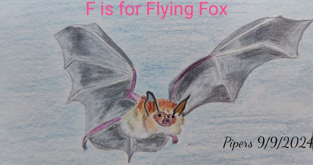 PipersDr's tweet image. F is for Flying Fox @AnimalAlphabets .
Happy AAMonday everyone!🦇🦇🦇
#animalalphabets #flyingfox #artchallenge #pencildrawing #illustration #animals #art