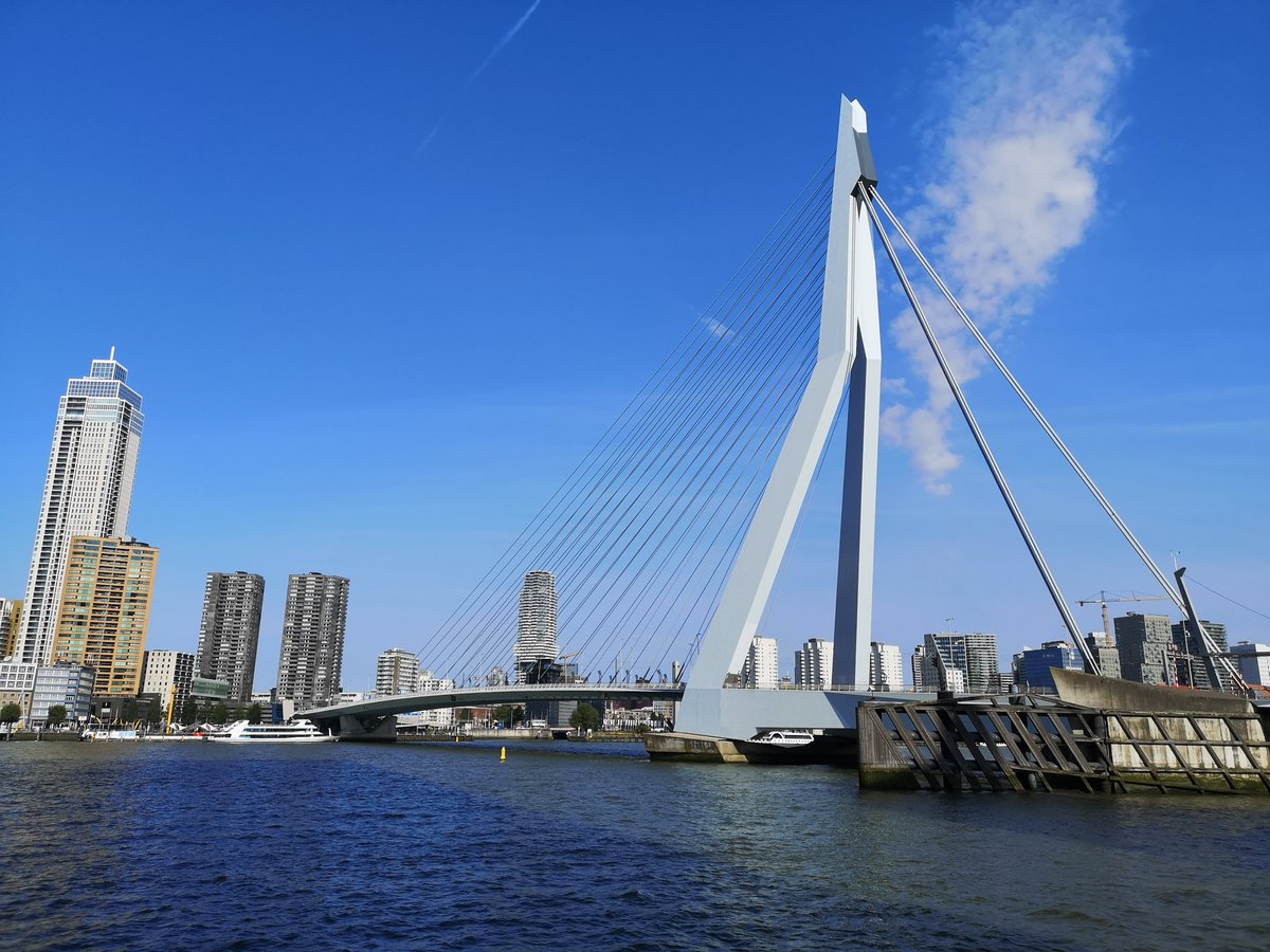 An Airigh tweet media