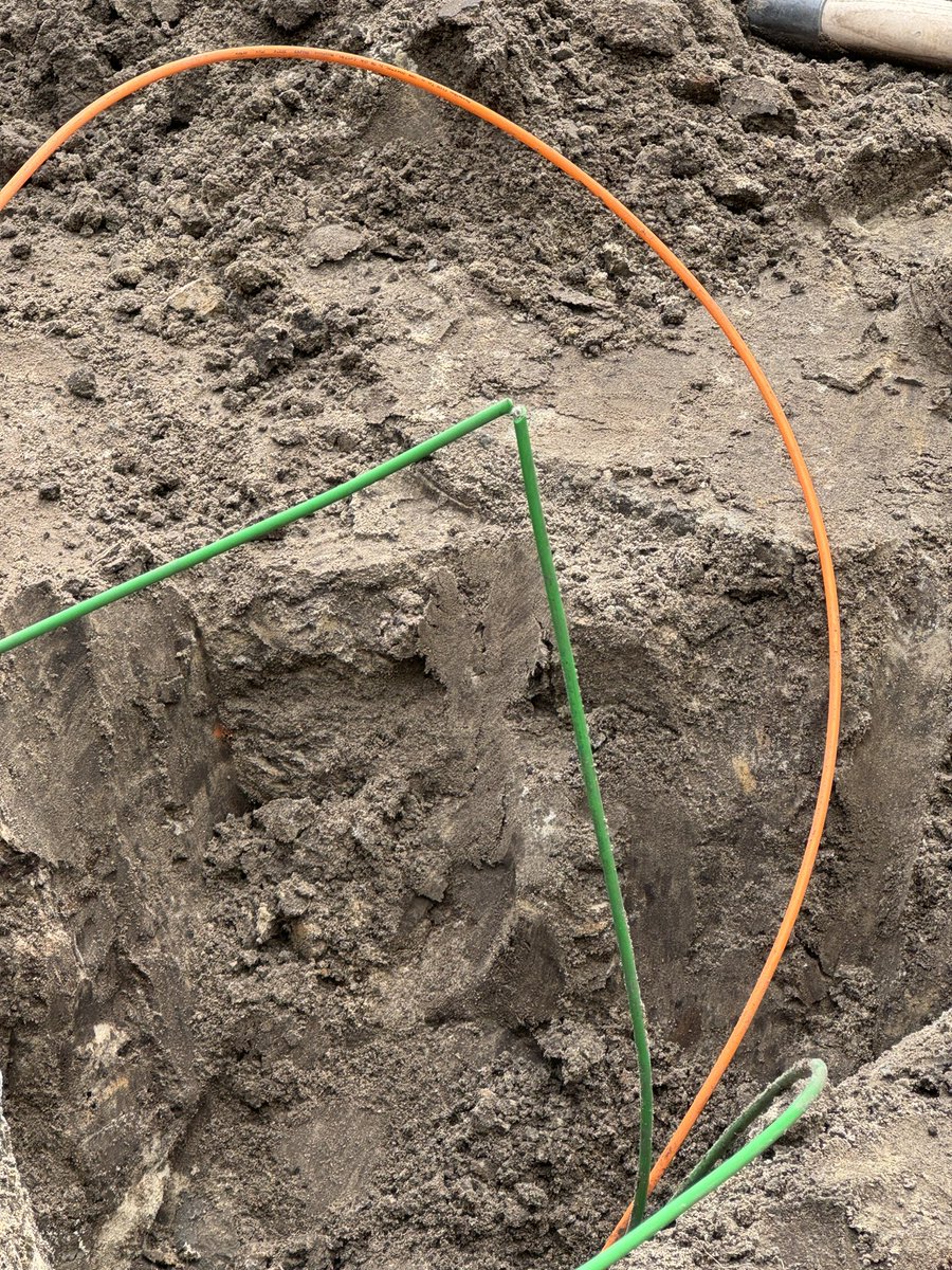 Patrick Simons tweet media