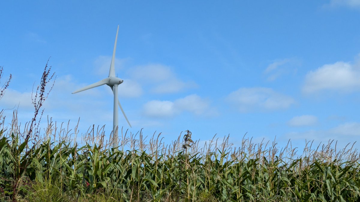 Busman's holiday in Wexford <a href="/RenewableNI/">RenewableNI</a> . Coastal drive turned in to wind farm site visit at #ballinoulartbeach