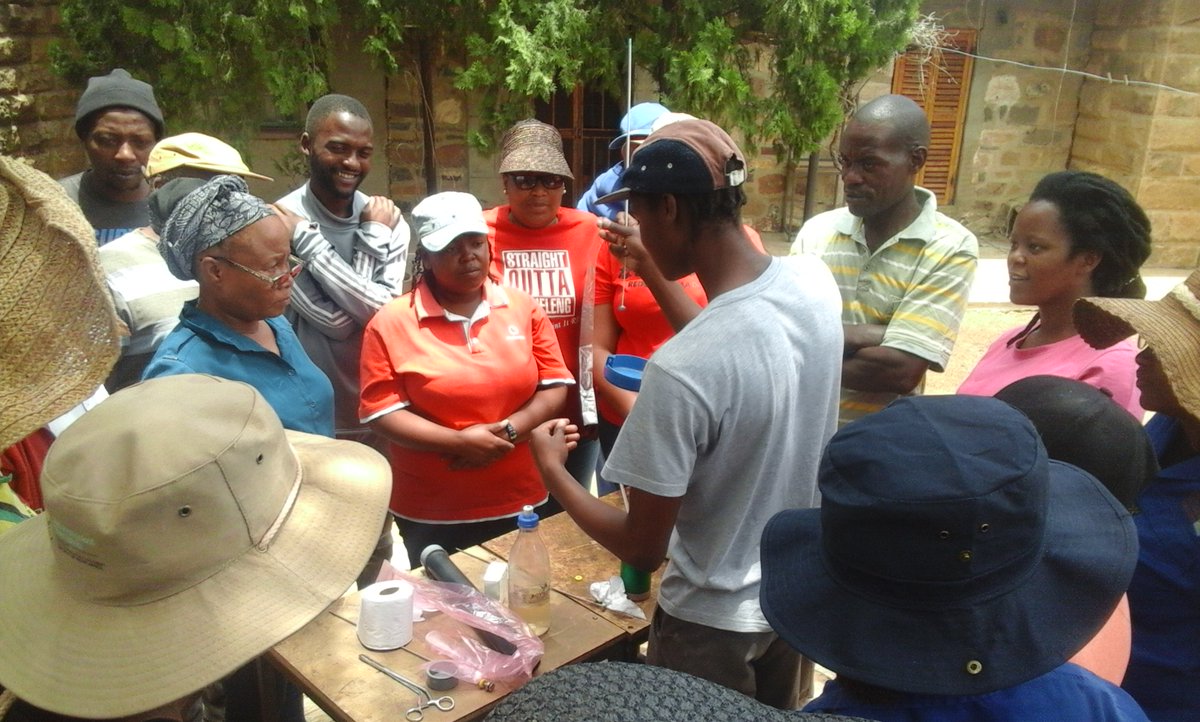 NkunziGenetics's tweet photo. Emerging farmers receiving DIY Artificial Insemination training. You want to take part? Contact us via email or whatsapp. https://t.co/8pbnzR7k1m