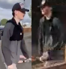 MerPolStHelens's tweet image. KNOW THESE PEOPLE? | We are issuing an image of three males and a female who may have info following an assault of a 16-y-o boy in a field off Govett Rd #ThattoHeath in July.
 
Contact @MerPolCC, 101 or Crimestoppers on 0800 555 111 ref: 24000636614.

orlo.uk/XFdKl