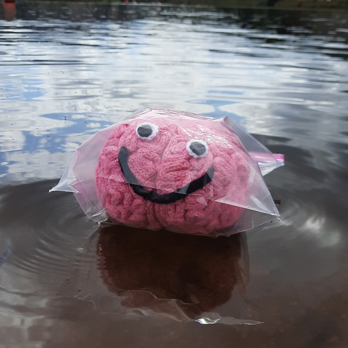 abdnpsych's tweet photo. ๐งธ Happy National Teddy Bear Day! ๐งธ
Today, weโre celebrating all things cuddly - like our beloved psychology mascot, the knitted brain!
๐ง It's not to late to add your suggestions and #NameTheBrain! ๐ง
https://t.co/hdpFyHNcug https://t.co/iVXtvJzTKn
