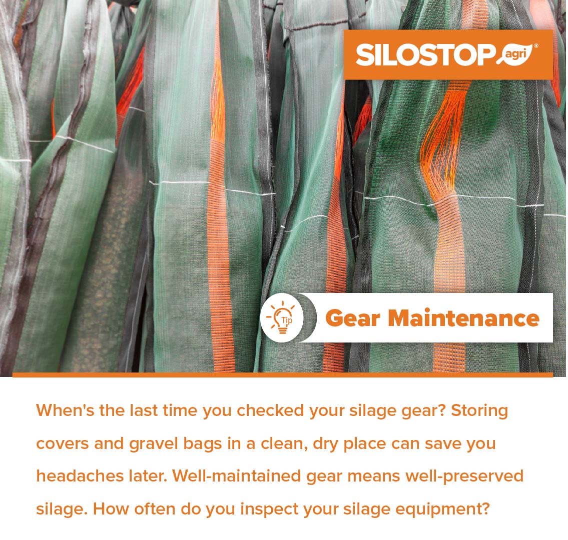 How recent was your last silage gear check? Storing covers and gravel bags properly helps avoid future problems. Maintain your equipment to preserve your silage. 🌾🚜

 #FarmMaintenance #FarmEquipment #SilagePreservation #FarmingTips #DairyFarming