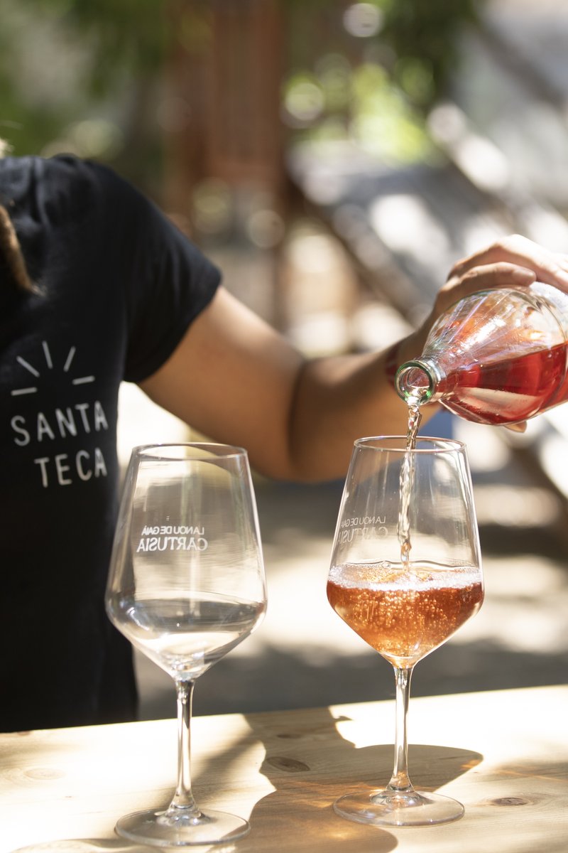 SantaTeca tweet media