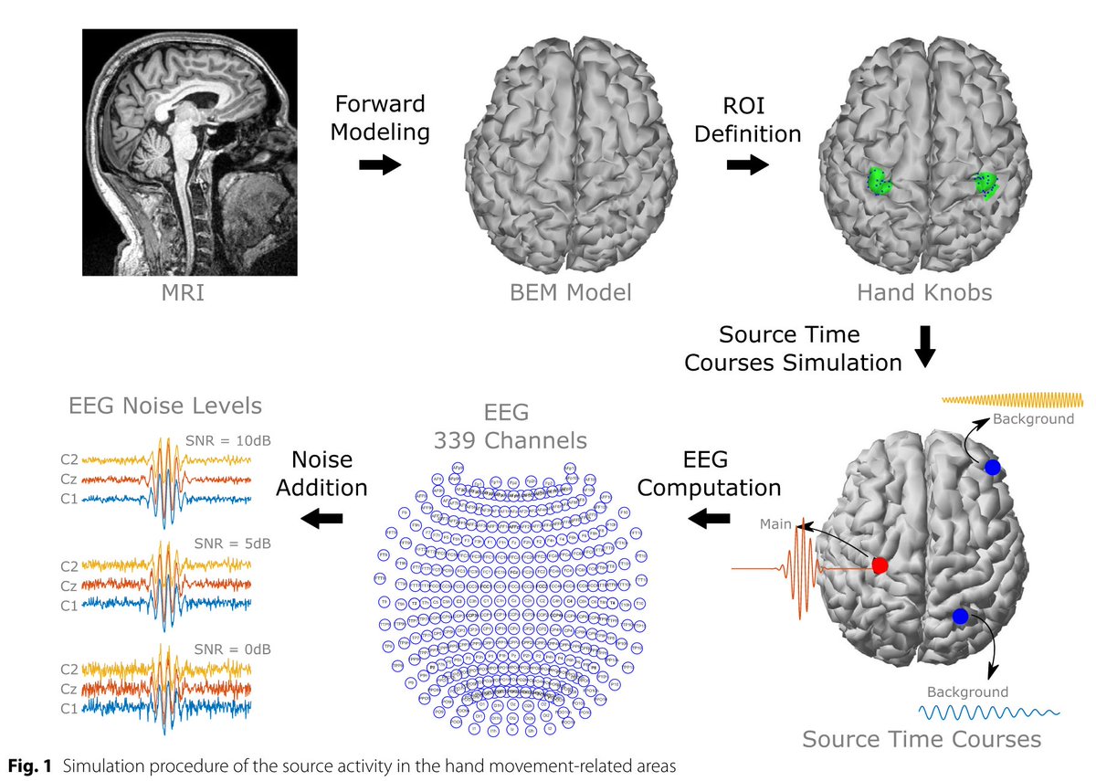 New study in Brain Informatics: Mentalab's EEG system was used to decode hand movement imagery with fewer electrodes tinyurl.com/4vakcte7 

#BCI #EEG #mobileEEG #neuroscience <a href="/SpringerNature/">Springer Nature</a> 

Interested in our system? Contact us or book a demo!
mentalab.com