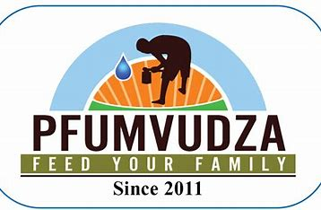 VulindlelaNdab2's tweet photo. Proud to see #Zimbabwe taking the lead among 32 Landlocked Developing Countries in climate-proofing its agriculture. The #Pfumvudza/#Intwasa program has been a game-changer, providing a resilient strategy against drought with an impressive 84% participation rate in rural areas https://t.co/7889OGykzl