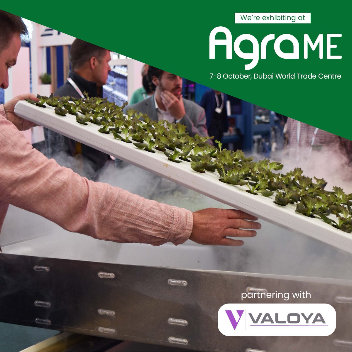 This year, we will be exhibiting at <a href="/AgraMiddleEast/">Agra Middle East</a> alongside our partners, <a href="/Valoya/">Valoya</a>🌿

We can't wait to share how we're working together to bring the latest in Controlled Environment Agriculture technology across the globe. 

Register for AgraMe 2024 here: hubs.la/Q02NZylh0