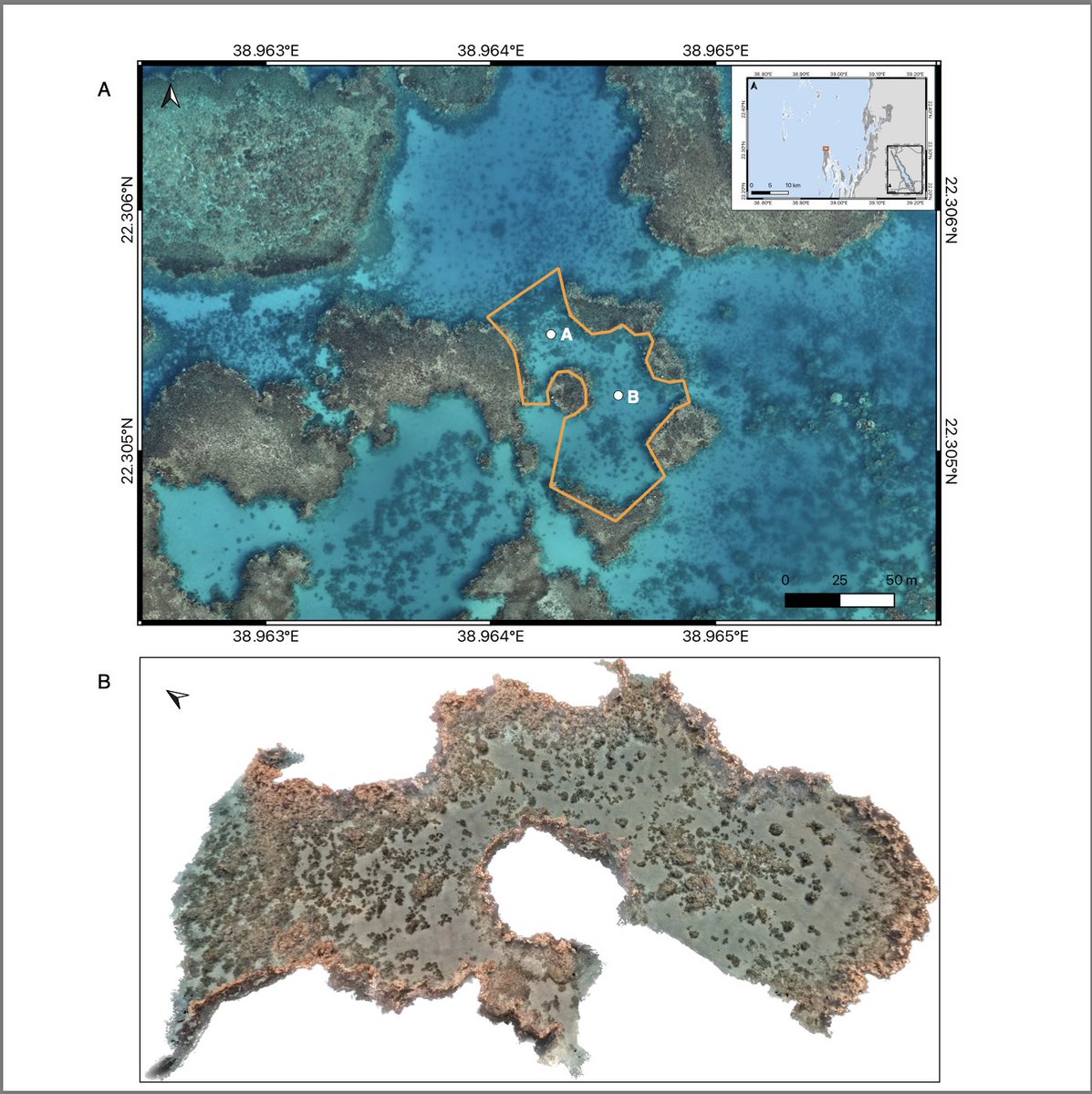 Alexandre Soares Rosado (@rosado_as) on Twitter photo Our preprint is out: Garcias-Bonet, N., Villela, H., García, F., et al. (2024). The Coral Probiotics Village: An underwater laboratory to tackle the coral reefs crisis doi.org/10.22541/au.17…. This is an exciting project led by the amazing <a href="/peixotors/">Raquel Peixoto</a> #KAUST Our preprint is out: Garcias-Bonet, N., Villela, H., García, F., et al. (2024). The Coral Probiotics Village: An underwater laboratory to tackle the coral reefs crisis doi.org/10.22541/au.17…. This is an exciting project led by the amazing <a href="/peixotors/">Raquel Peixoto</a> #KAUST